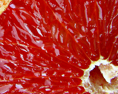 Грейфрутовая диета