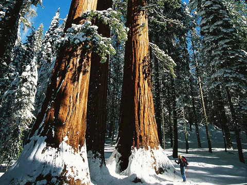 спорт зимой