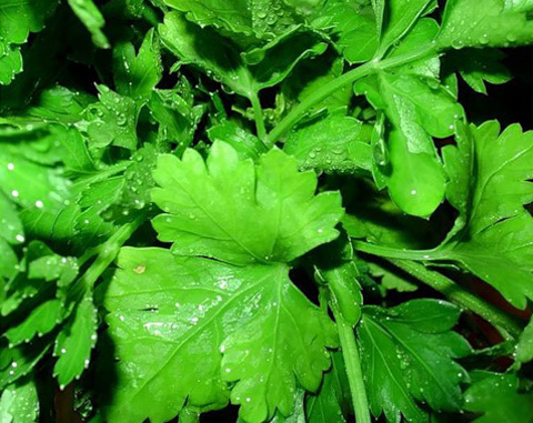 темные круги под глазами