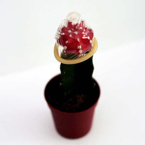 Отпуск - пора курортных романов, что нужно знать об этом...