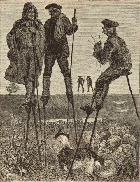 Ах, этот милый женский каблучек!