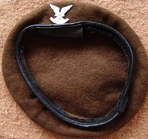 модный берет