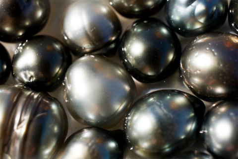 тайны жемчуга