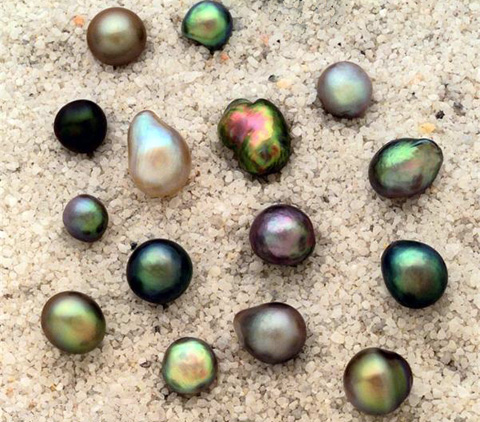 тайны жемчуга