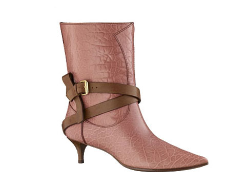 Модные сапожки весна 2011