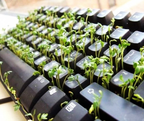 зеленый лист