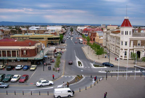 День бороды