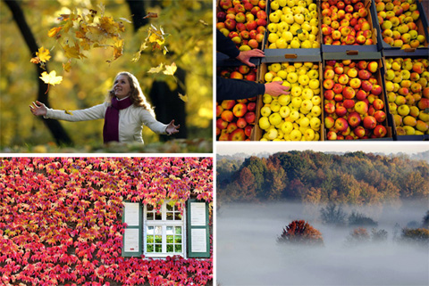 осень пейзажи