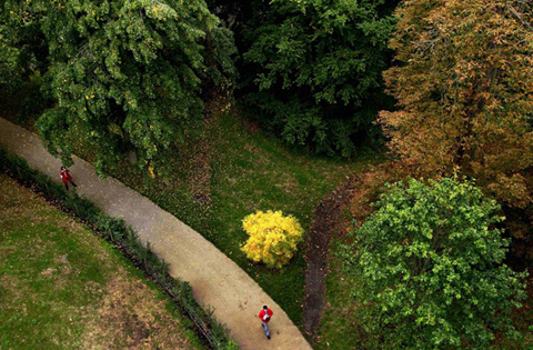 осень пейзажи