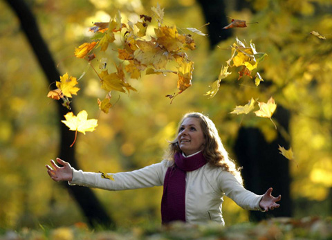 осень пейзажи