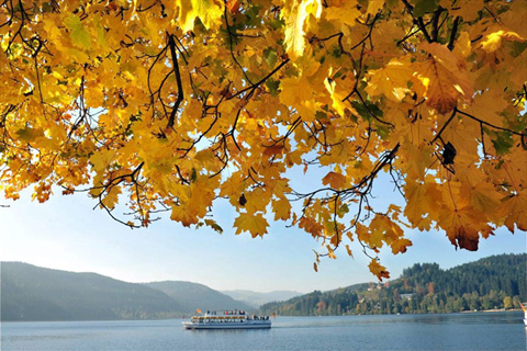 осень пейзажи