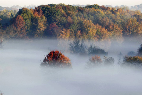 осень пейзажи