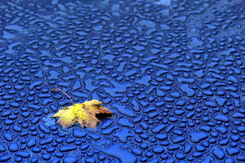 осень пейзажи