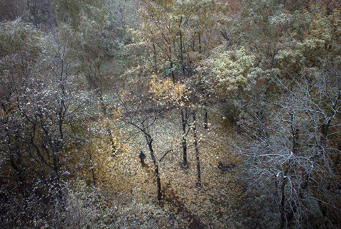 осень пейзажи