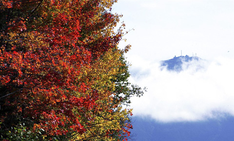 осень пейзажи