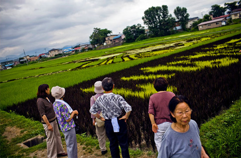 рисунки на полях