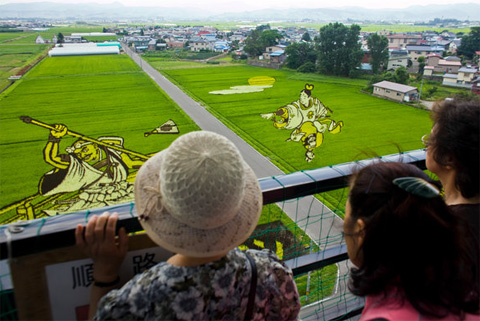 рисунки на полях