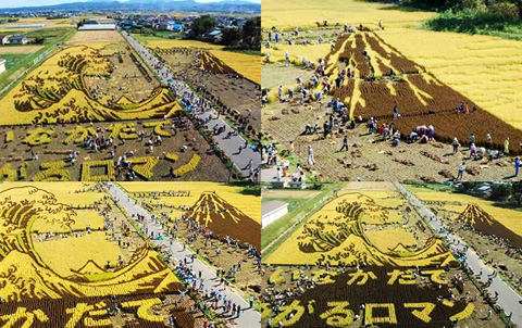 рисунки на полях