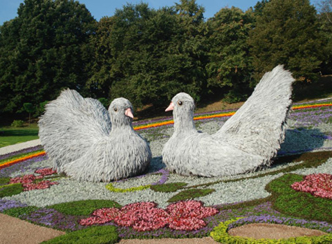 День Независимости